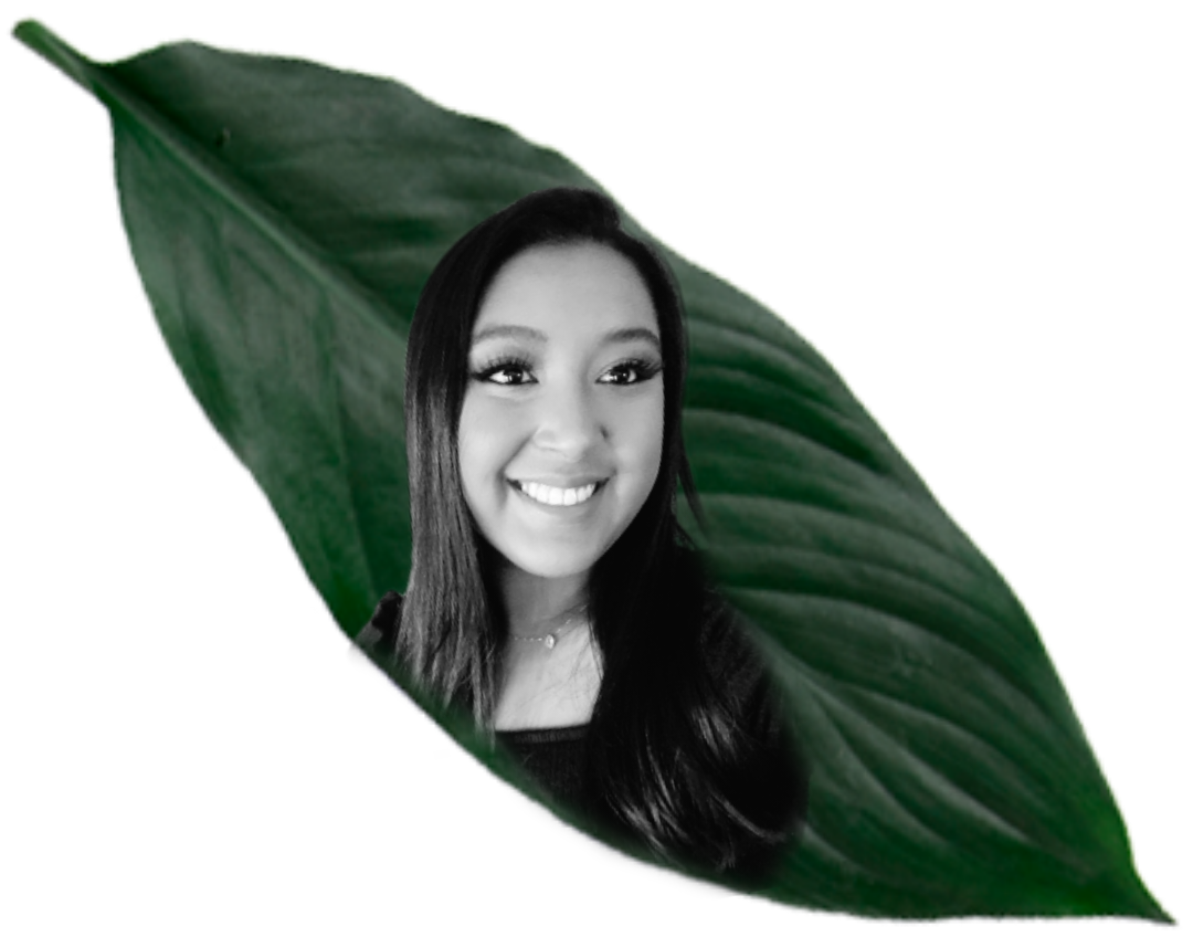 Mariana Ximenes Monteiro