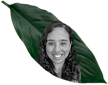 Pâmela Ami C. Da Silveira