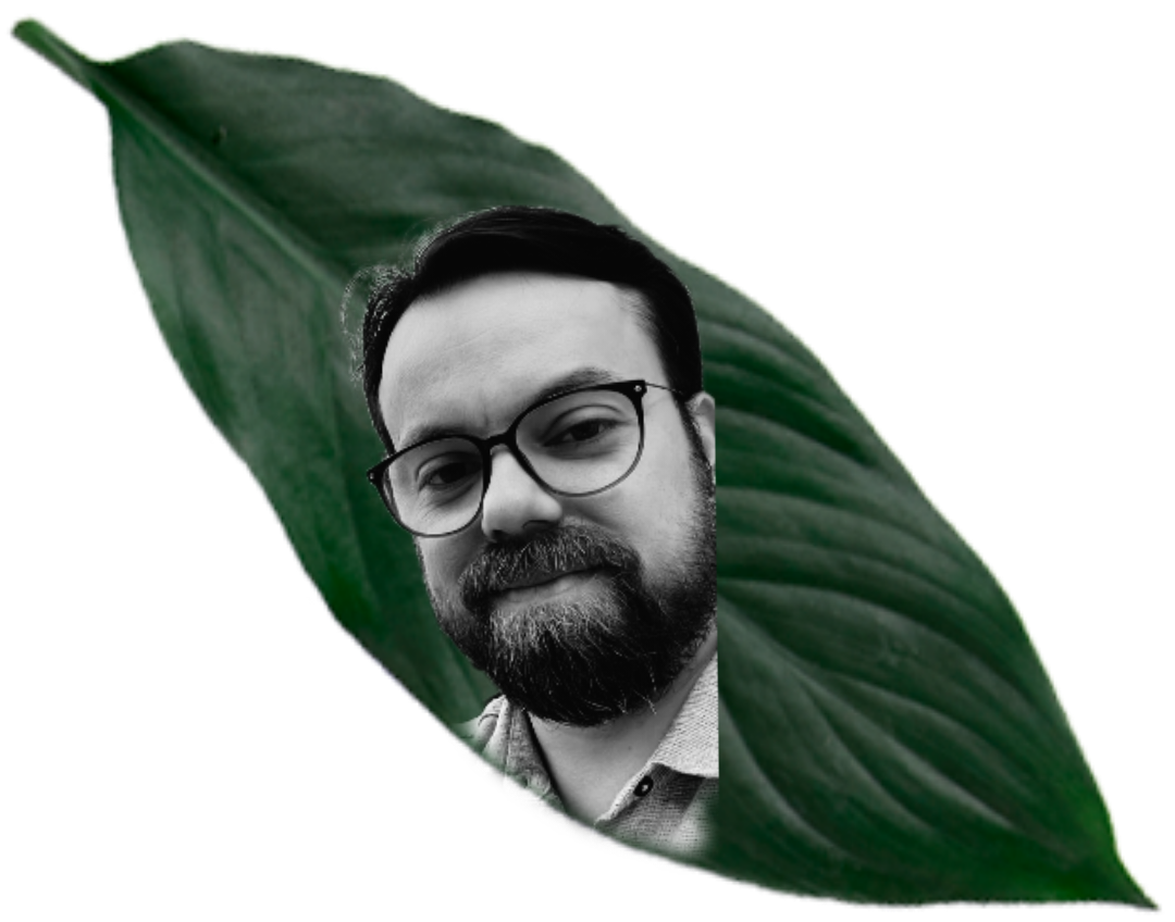 Diego Fontoura Mendes Riveiro